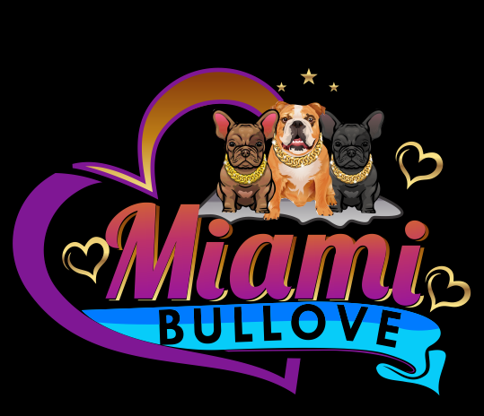 Miami BULLOVE